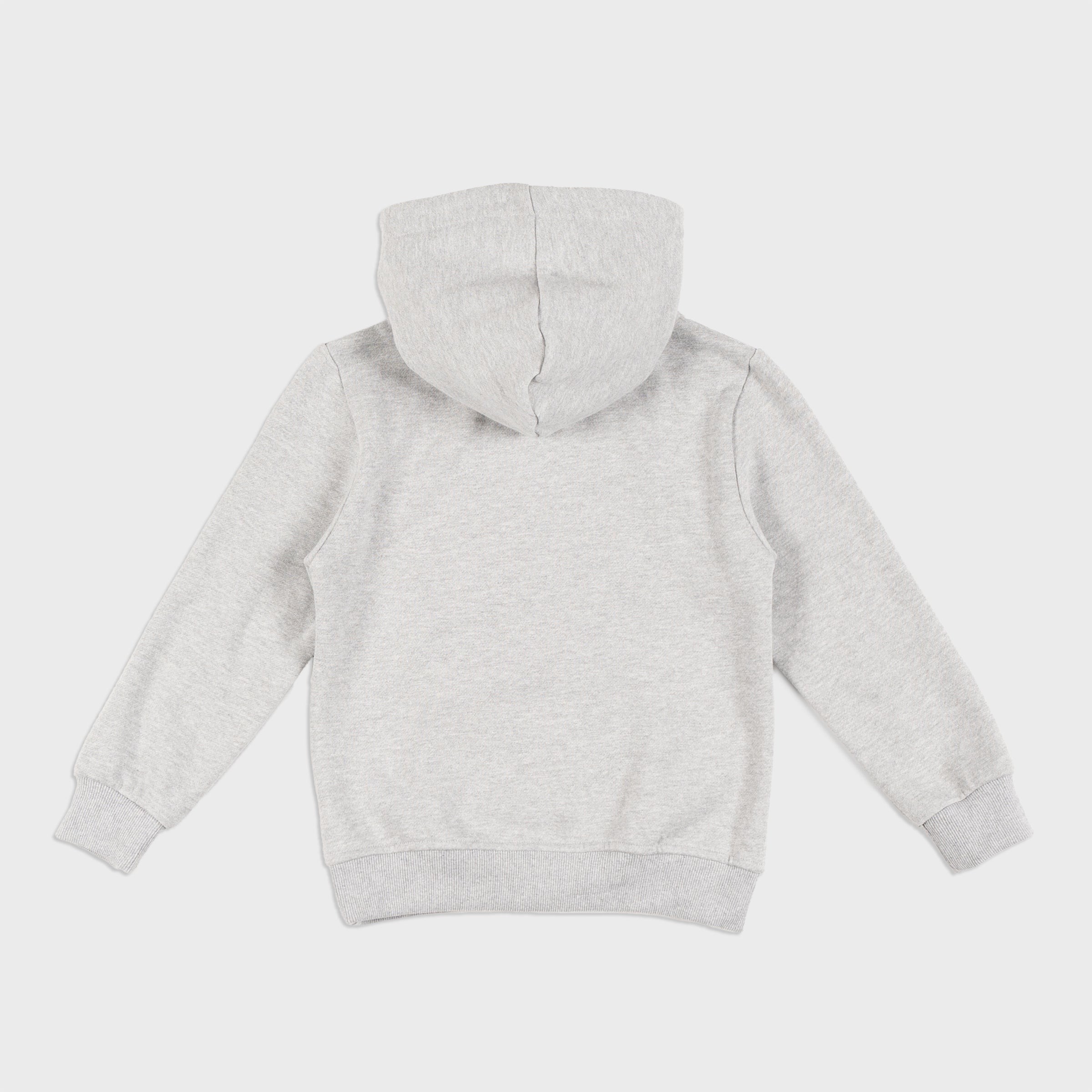 PROPER KIDS OG HOODIE GREY