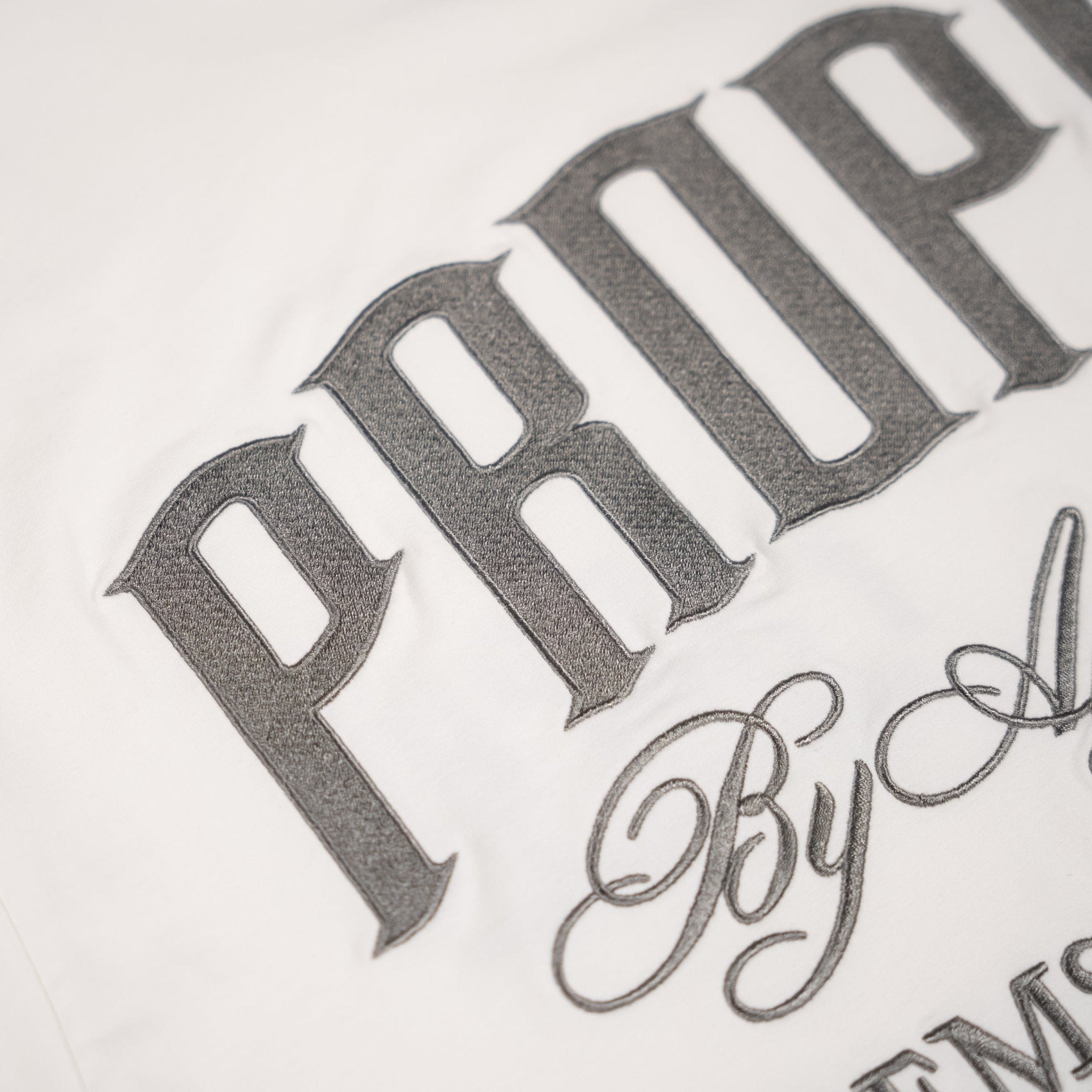 PROPER SCRIPTURE FITTED TEE WHITE/SILVER - Proper Streetwear