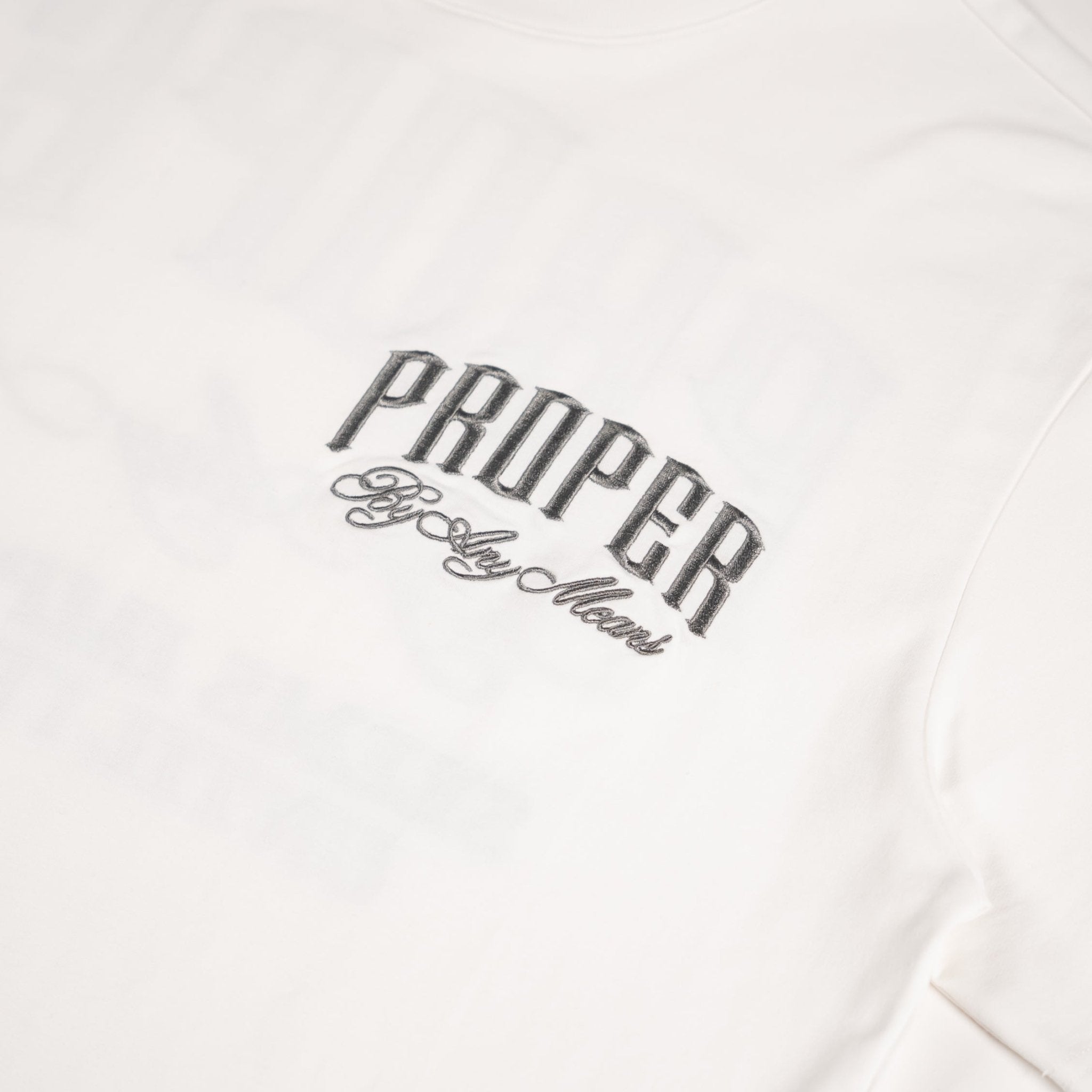PROPER SCRIPTURE FITTED TEE WHITE/SILVER - Proper Streetwear