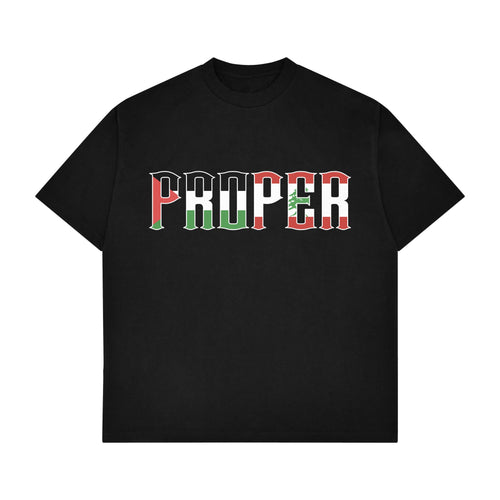 PALESTINE X LEBANON FITTED TEE - Proper Streetwear