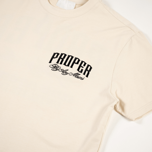 PROPER SCRIPTURE FITTED TEE STONE - Proper Streetwear