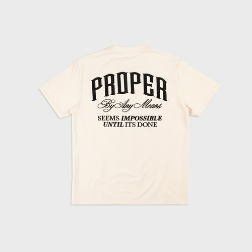 PROPER SCRIPTURE FITTED TEE STONE - Proper Streetwear