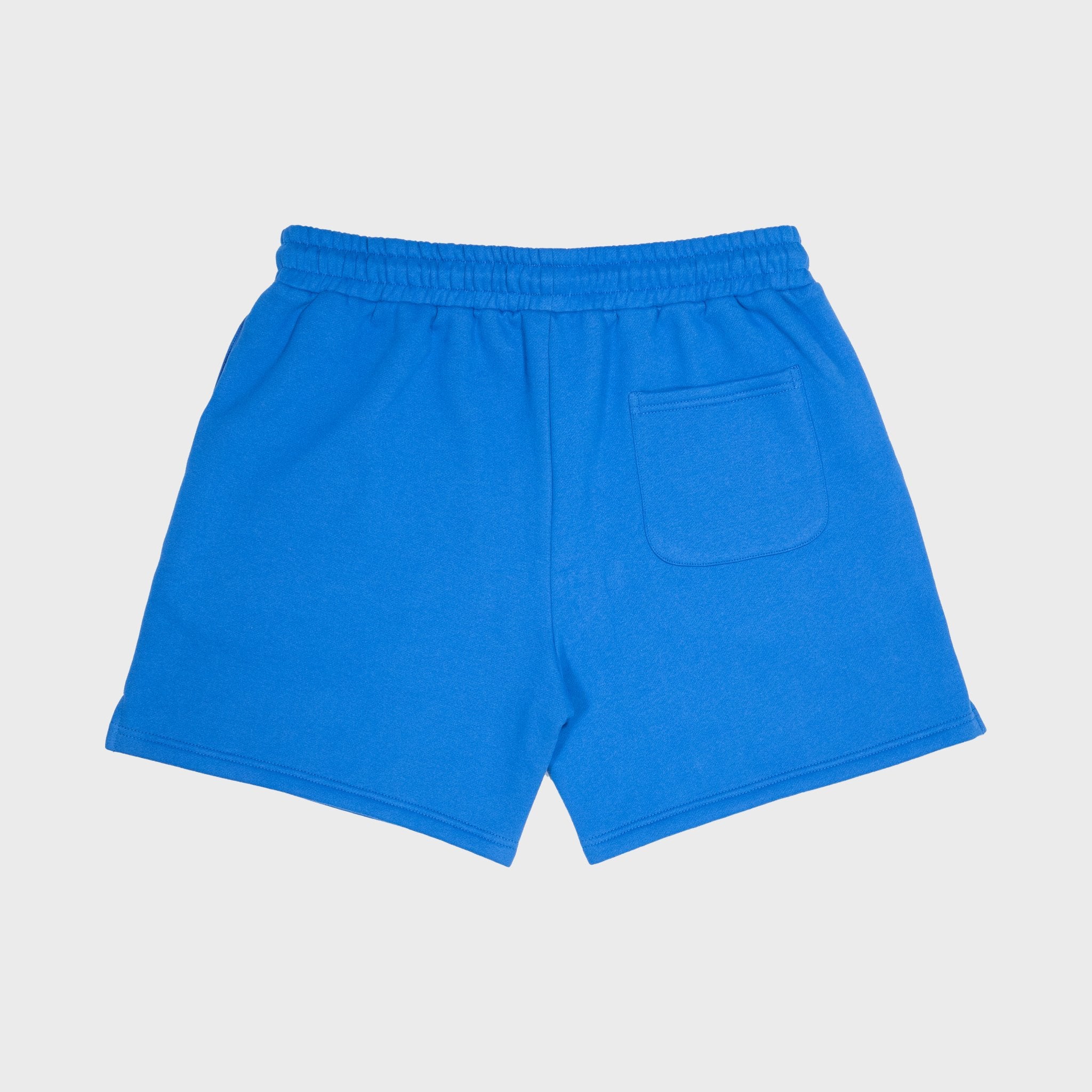 PROPER SHORTS BLUE - Proper Streetwear